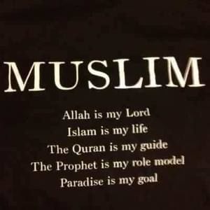 Meet your Posher, Sow